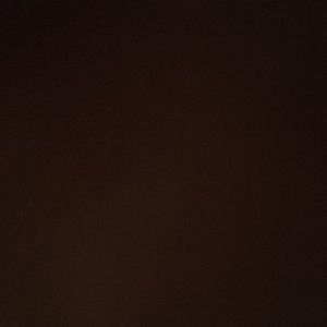 Meet your Posher, Caren